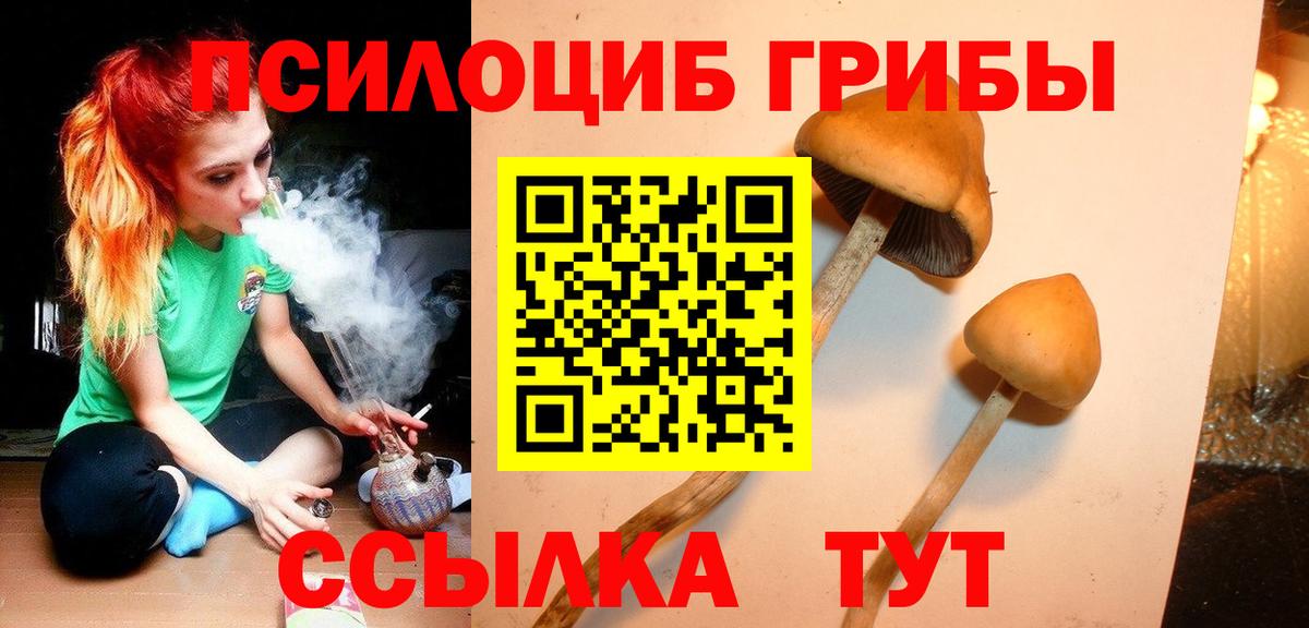 Псилоцибиновые грибы Magic Shrooms  Вход с VPN  Нижний Новгород  Галлюциногенные грибы мицелий 